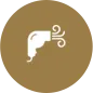 dry